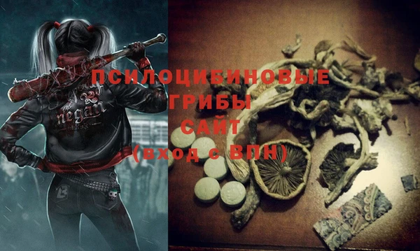 амф Саяногорск