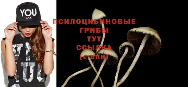 амф Саяногорск